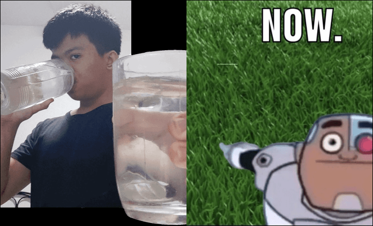 A gentle reminder to touch grass and drink water